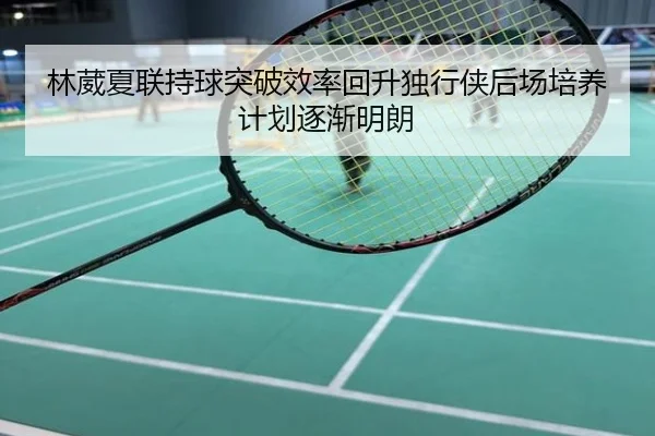 林葳夏联持球突破效率回升独行侠后场培养计划逐渐明朗